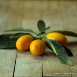 Oval kumquats with green leaves